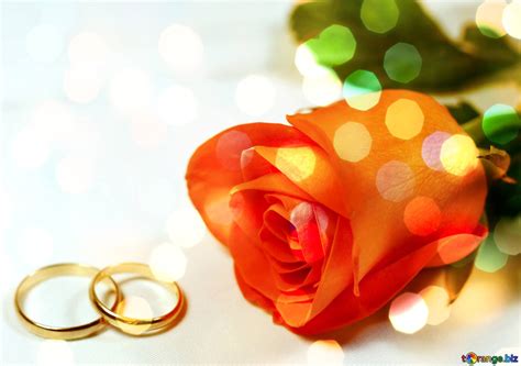 MARIAGES.NET Portail de mariage leader dans le monde !